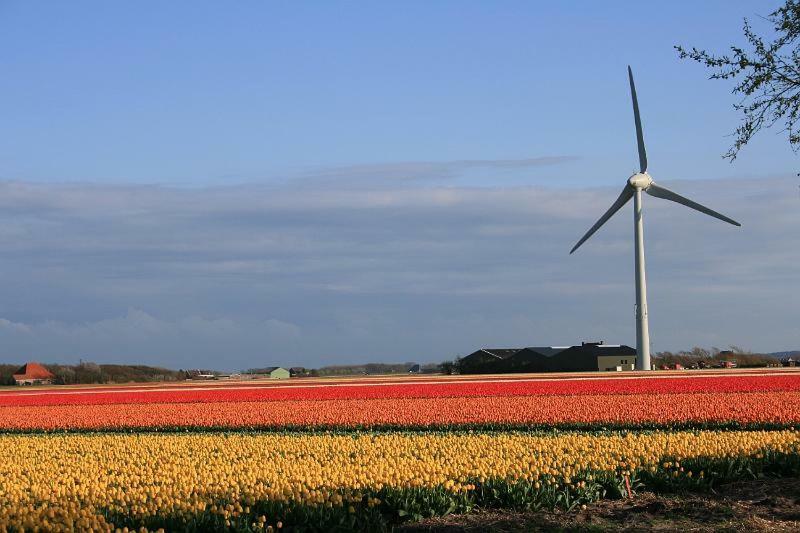 Vitamine Zee Petten Exterior photo